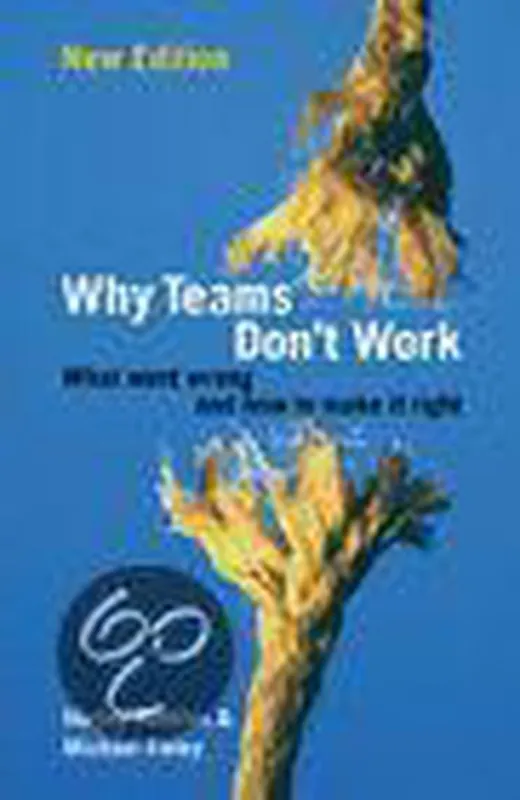 Beste Prijs Why Teams Don't Work