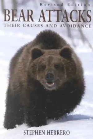 Bear Attacks Veilige Betaling