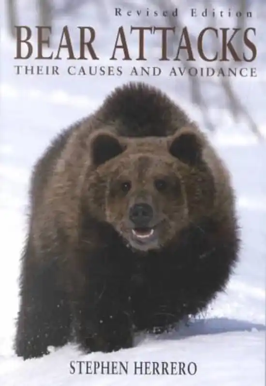 Bear Attacks Veilige Betaling