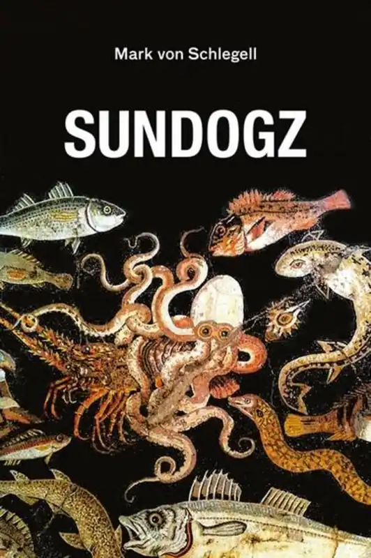 Koop Vandaag Sundogz