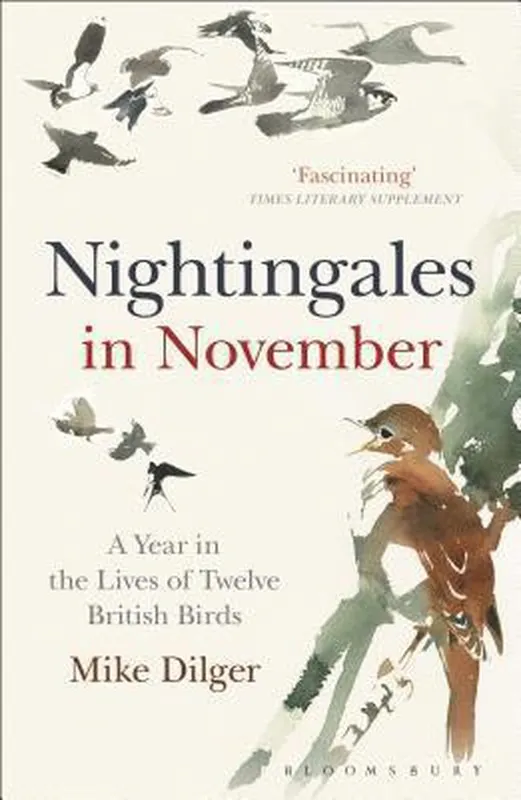 Nightingales in November Lage Prijs