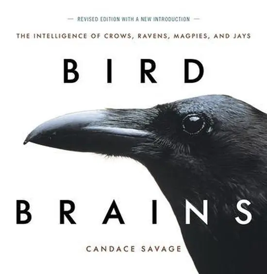 Op = Op Bird Brains