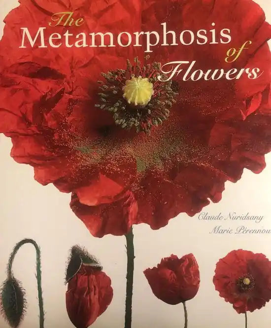 Uitverkoop The Metamorphosis of Flowers