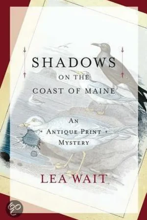 Aanbieding Shadows on the Coast of Maine