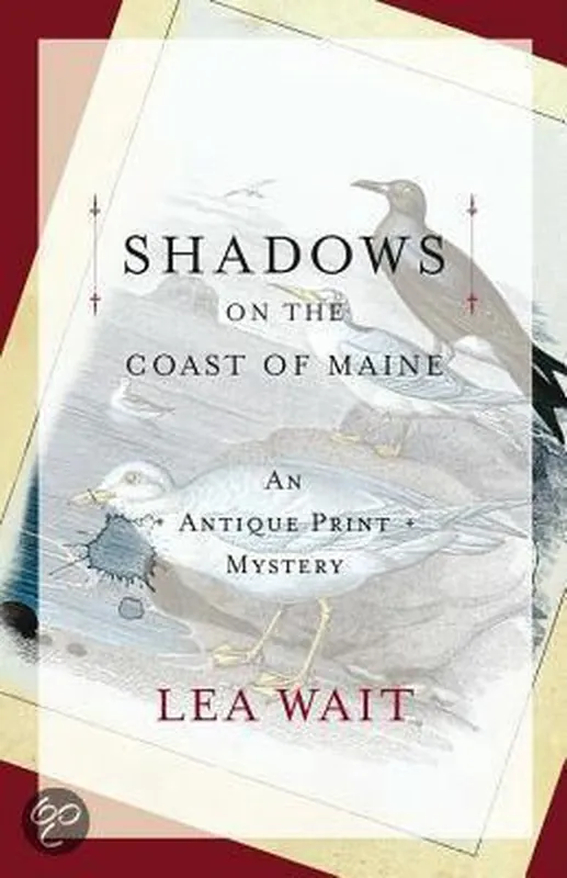 Aanbieding Shadows on the Coast of Maine