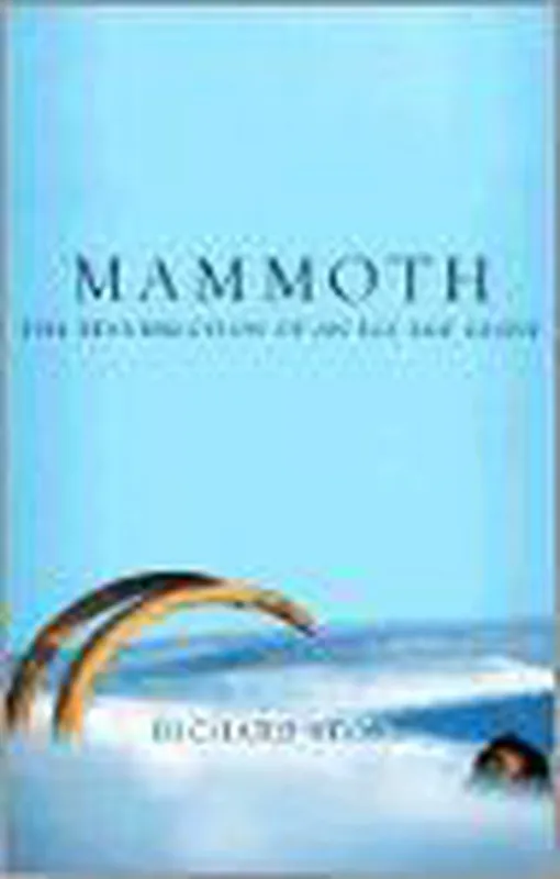 Mammoth Veilige Betaling
