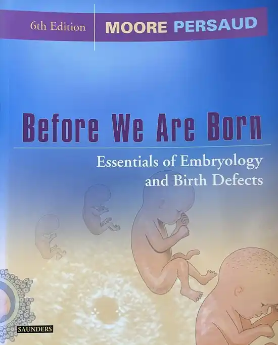 Nieuw Before We Are Born
