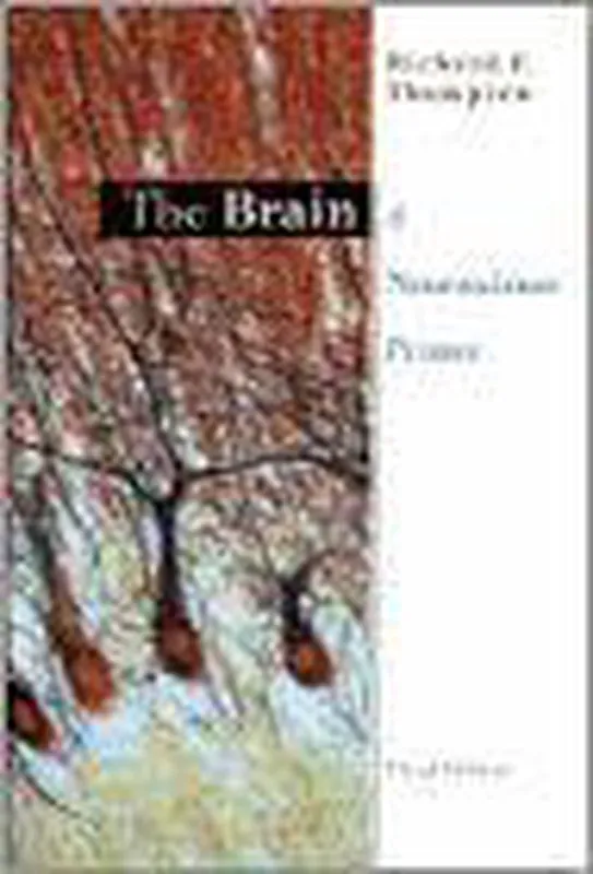 The Brain Voordeelprijs