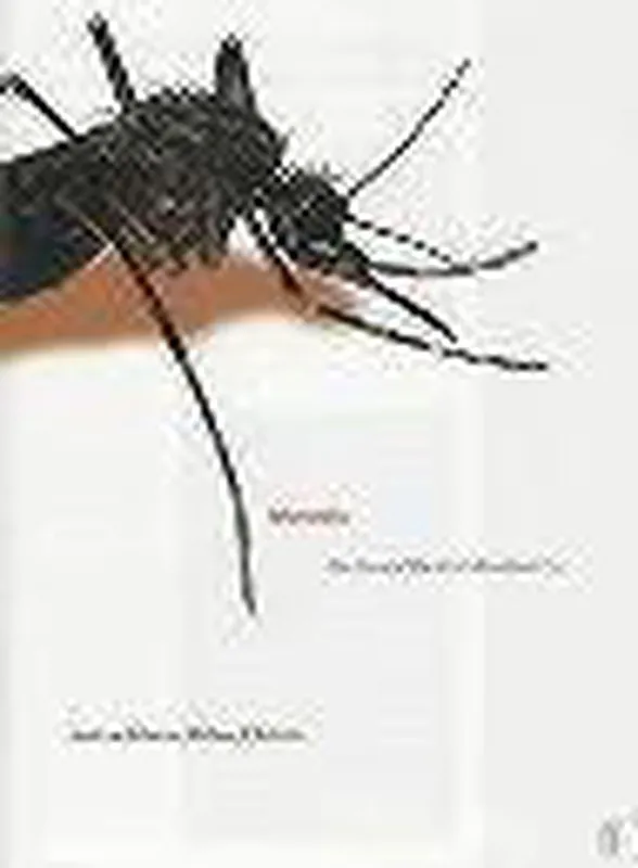 Koop Online Mosquito