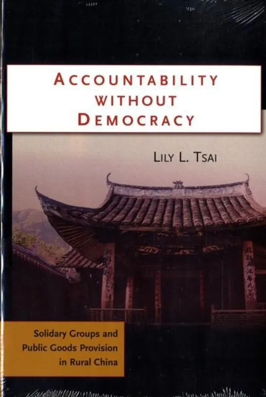 Koopje Accountability Without Democracy