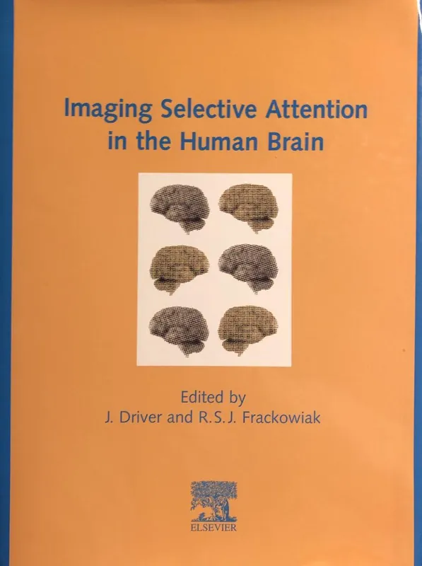 Snelle Levering Imaging Selective Attention In The Human Brain