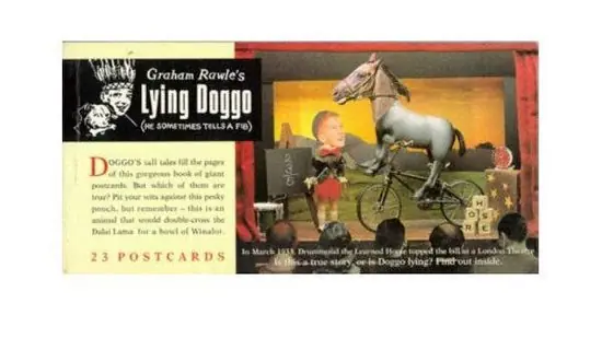 Graham Rawle's Lying Doggo Koop Online