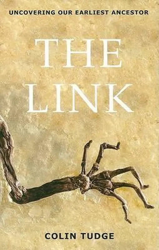 Rechtstreeks Van De Fabrikant The Link