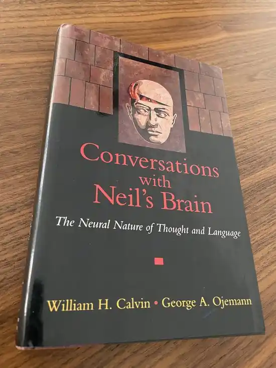 Laatste Versie Conversations With Neil's Brain