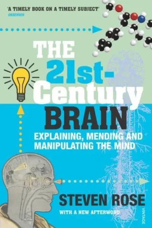 21St Century Brain Rechtstreeks Van De Fabrikant