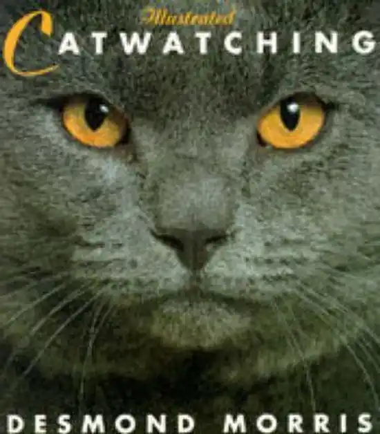 Direct Beschikbaar Illustrated Catwatching