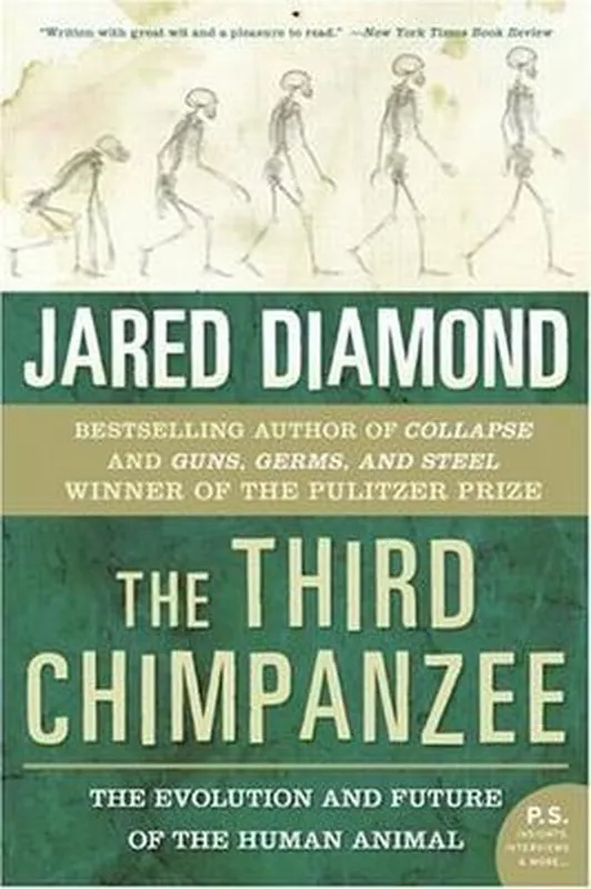 Weekendaanbieding Third Chimpanzee