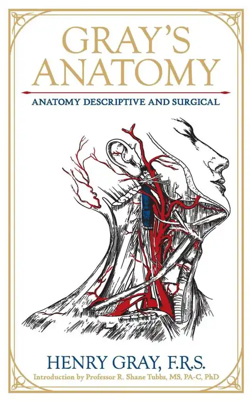 Gray's Anatomy Flitsaanbieding