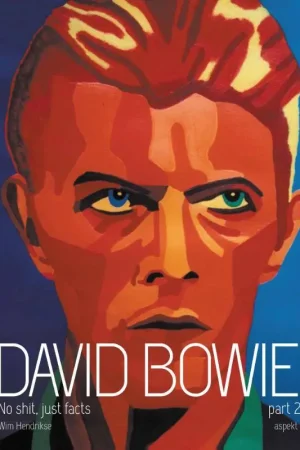 Premium David Bowie 2 no shit, just facts / Druk 1