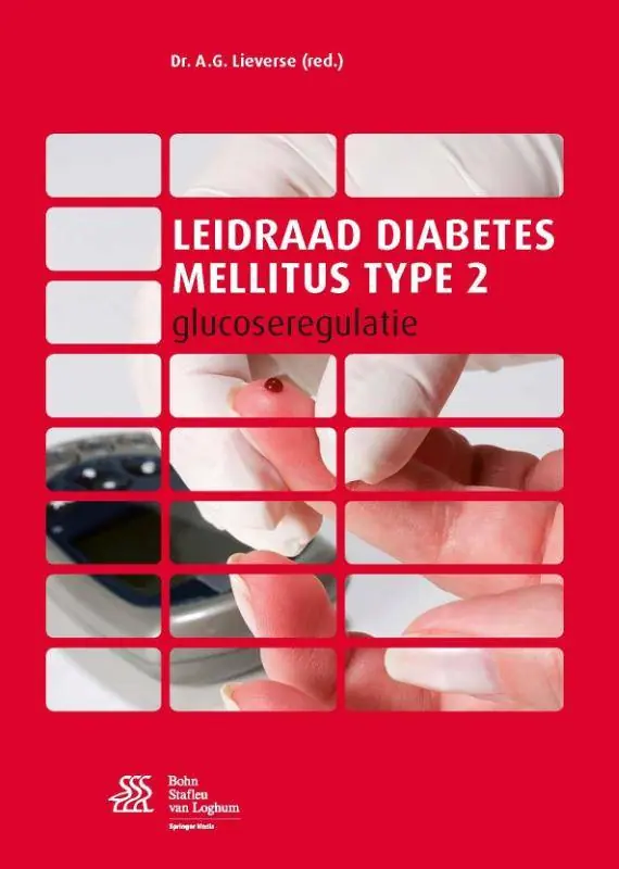 Populair Leidraad diabetes mellitus type 2 / Druk 2