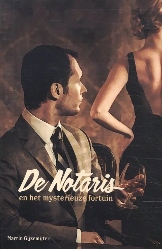 De Notaris en het mysterieuze fortuin / Druk 1 Lage Kosten