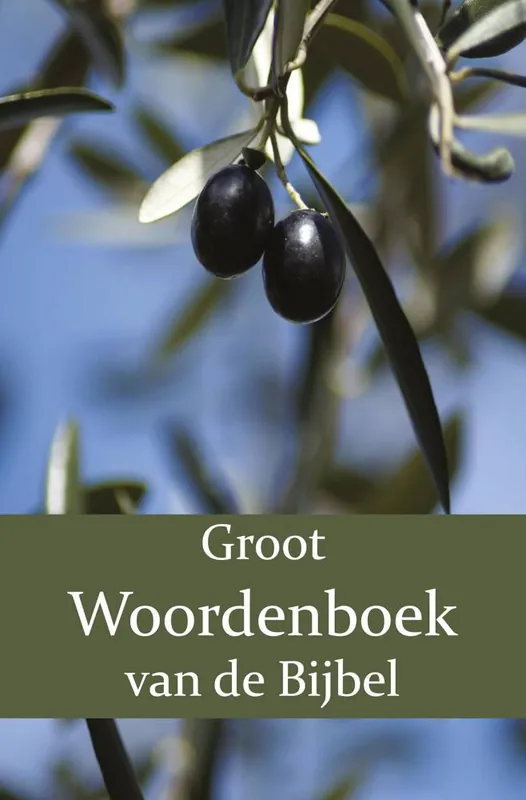 Speciale Aanbieding Groot Woordenboek van de Bijbel A-H / Druk 1