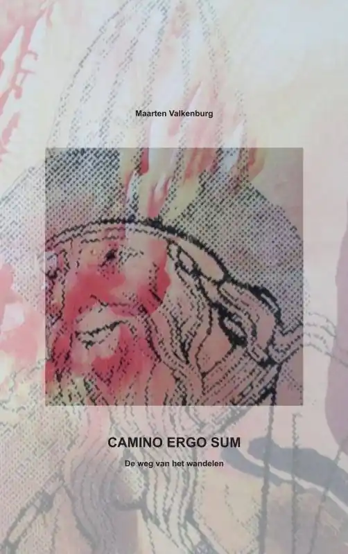 CAMINO ERGO SUM / Druk 4 Superprijs