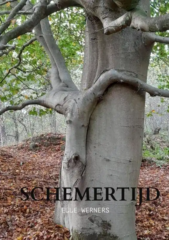 SCHEMERTIJD / Druk 3 Op = Op