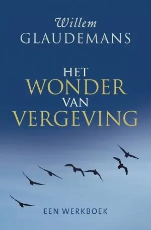 Het wonder van vergeving / Druk 7 Nu Kopen