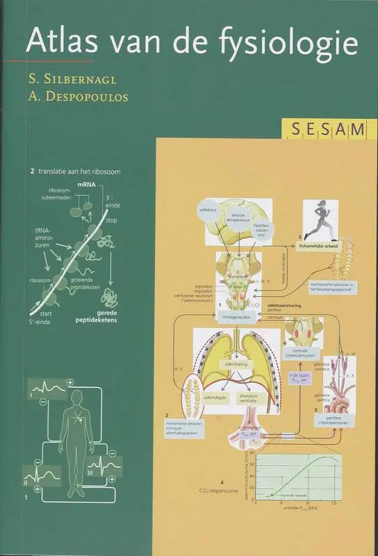 Sesam Atlas van de fysiologie / Druk 15 Lage Prijs
