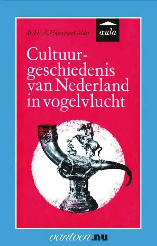 Cultuurgeschiedenis van Nederland in vogelvlucht / Druk 90 Merkproduct