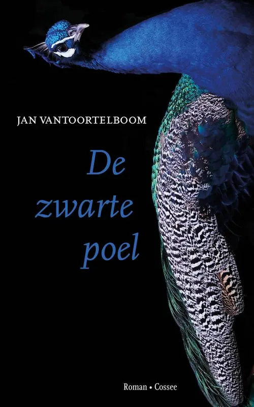 De zwarte poel / Druk 1 Nu Kopen