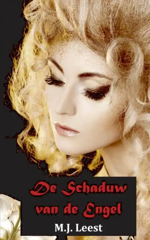 Meest Verkocht De schaduw van de engel / Druk 1