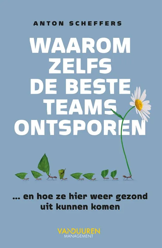 Rechtstreeks Van De Fabrikant Waarom zelfs de beste teams ontsporen / Druk 1