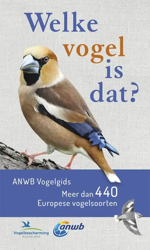 Welke vogel is dat? / Druk 6 Lage Kosten