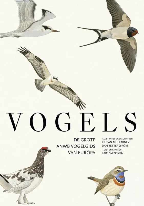 Vogels / Druk 2 Voordeelprijs