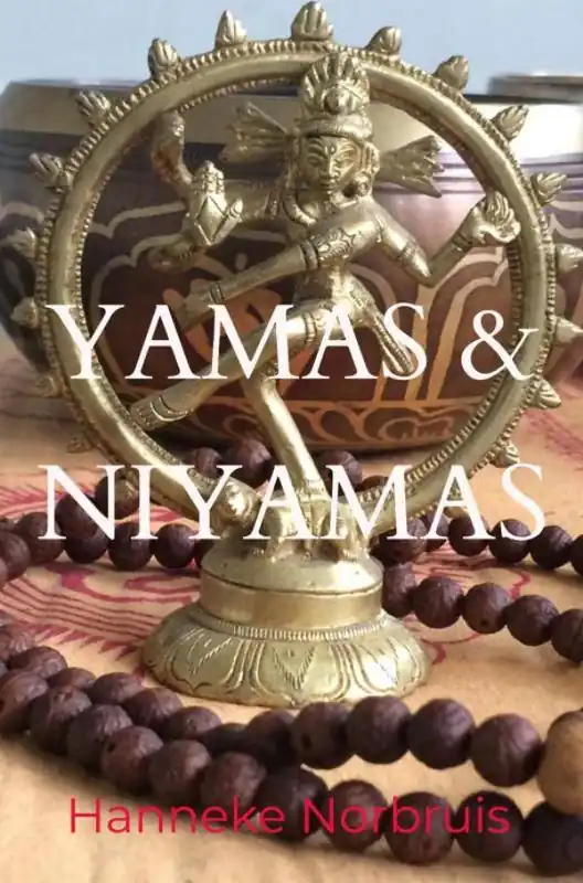Yamas en Niyamas / Druk 1 Bestseller