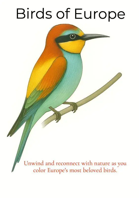 Beste Prijs Birds of Europe / 1st Edition