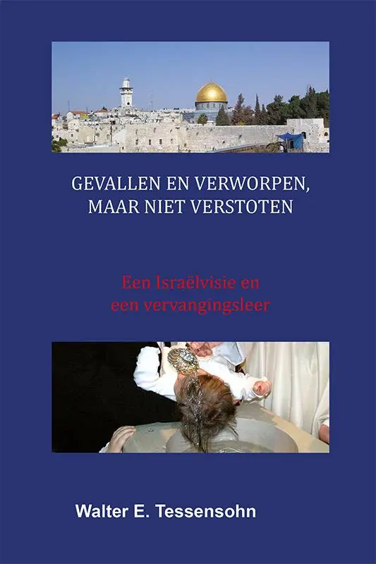 Beperkte Voorraad Gevallen en verworpen, maar niet verstoten / Druk 1