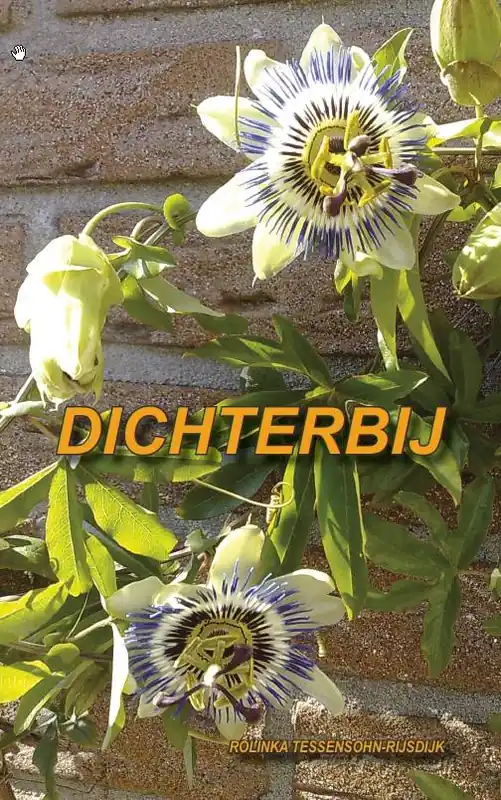 Dichterbij / Druk 1 Flitsaanbieding