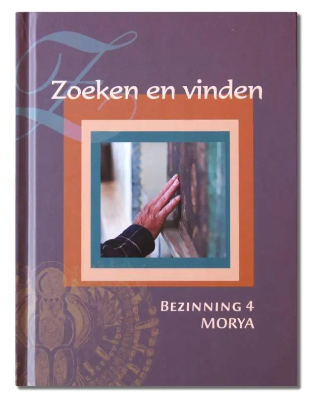 Direct Verzonden Zoeken en vinden / Druk 2