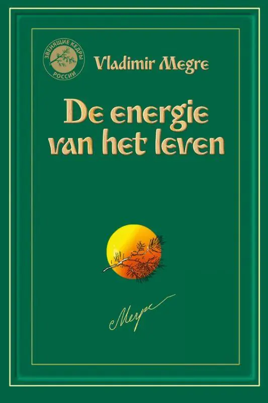 De energie van het leven / Druk 2 Bestseller