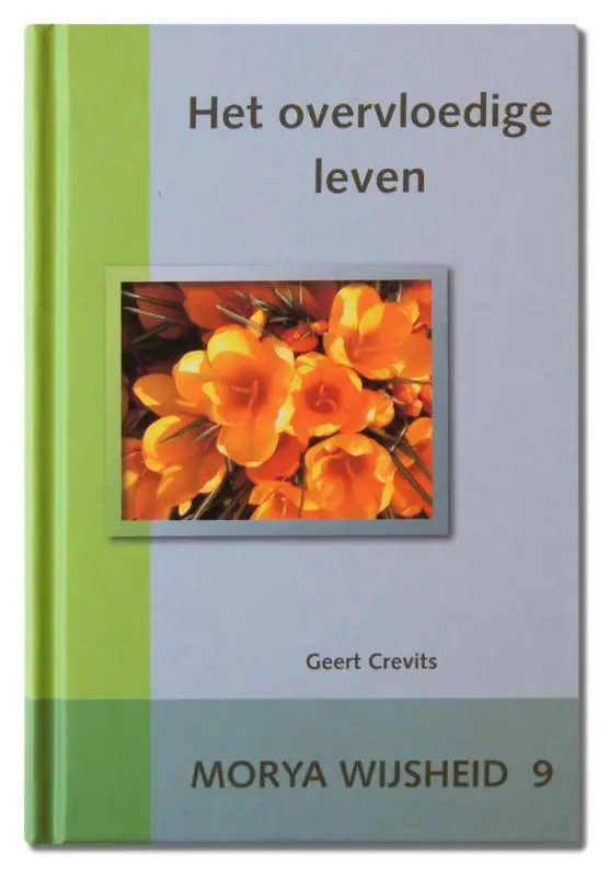 Express Levering Het overvloedige leven / Druk 1