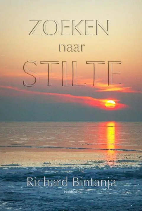 Zoeken naar stilte / Druk 1 Speciale Aanbieding