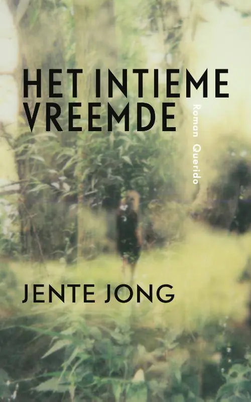 Veilige Betaling Het intieme vreemde / Druk 1