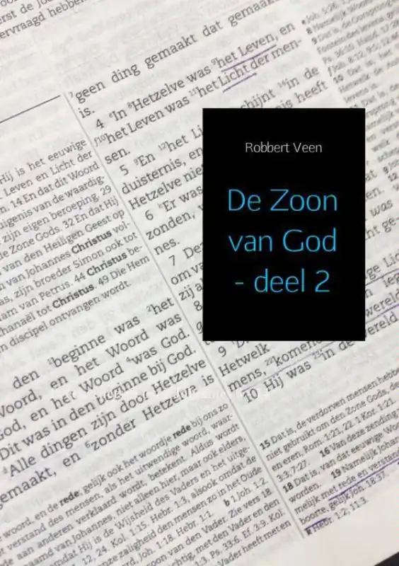 De Zoon van God 2 Johannes 8:1-14:31 / Druk 1 Gratis Retour