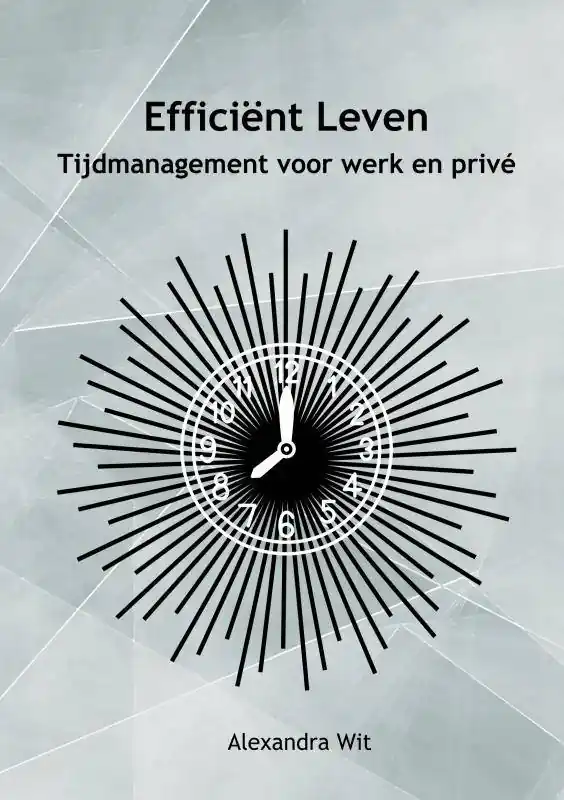 Uitverkoop Efficiënt Leven / Druk 1