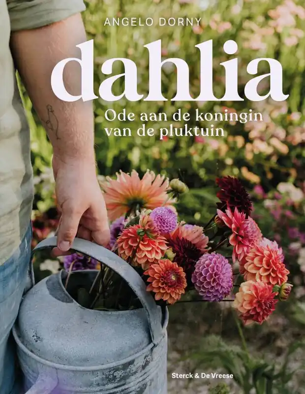Koop Vandaag Dahlia / Druk 1