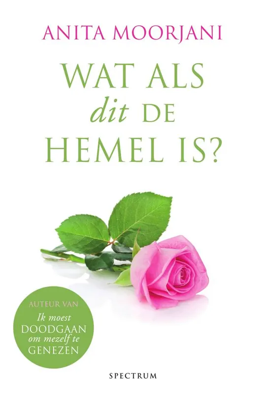Gratis Verzending Wat als dit de hemel is? / Druk 3