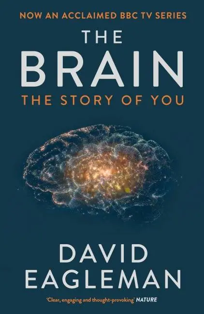Superprijs The Brain